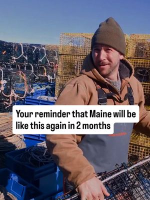 This is what we suffer winter in Maine for  #maine #Summer #tourists #mainelife 