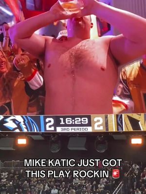 THIS IS PLAYOFF HOCKEY BABY 🚨 @Vegas Golden Knights #NHL #vegas 