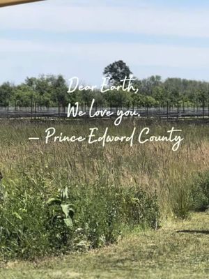 Happy Earth Day from #PrinceEdwardCounty ✨🌻🌱🌽⛵️☀️💫🐾🌞🍓 #ontariotravel #ontarioroadtrips #visitthecounty #fyp 