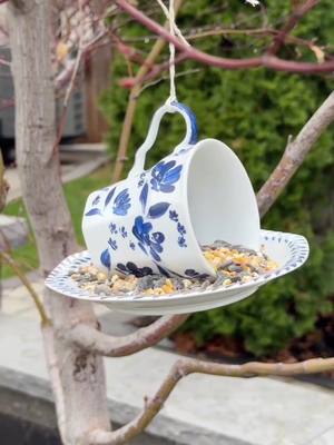 Happy Earth Day! ✨🌎 We’re celebrating with a little DIY for the birds 🤍🕊️ @Courtney Naray 