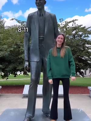 The Tallest Man in the World 