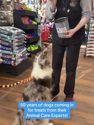 50 years together💙 That means 50 years of treats, love, gotcha days, adoption stories, dog washes, and so many more memories with you and your pets! We want to hear about what your favourite in-store moment was! Enter Pet Valu’s 50th Anniversary contest for a chance to win one of five $500 gift cards.🎊 See pinned post on Instagram for details! (ends April 29). #50PawsomeYears #50thAnniversary #LoveLivesHere