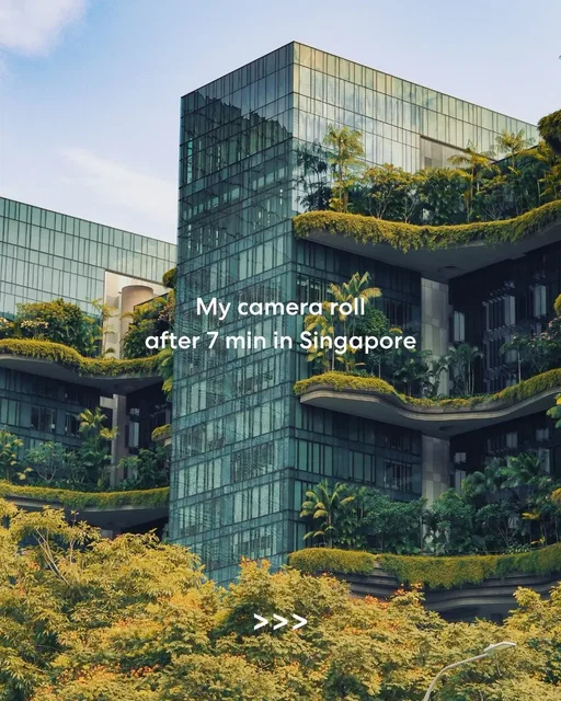 Singapore does everything, and somehow all at once ✨