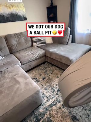 🐶 Dogs love balls because they tap directly into their natural chase and prey instincts. The size, movement, and unpredictability of a ball mimic small animals, triggering a dog’s instinct to chase, catch, and retrieve. Balls also provide mental and physical stimulation. Chasing a ball engages a dog’s focus, coordination, and energy all at once, making it one of the most rewarding forms of play. For breeds like Retrievers, this behaviour is even stronger because they were specifically bred to fetch and carry objects. 🎥: ViralHog #animals #pets #ladbible