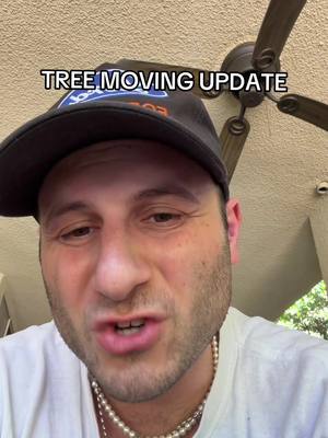 It’s actually the other way around #tree #treeupdate 