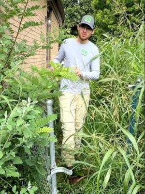 This house SURVIVED a PLANE CRASH that destroyed the entire block #mowing #edging #cleanup #asmr #satisfying #sbmowing #cleaning #overgrownyard #fyp #fypシ #viral #viralvideo #transformation #overgrown #maruyama