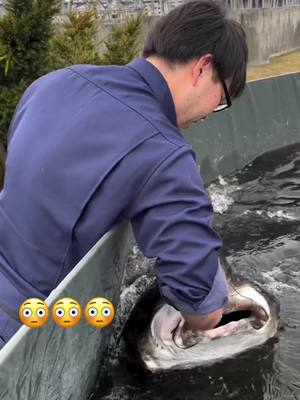 Bro said 😁👋 #omg #fish #scary #shark (via shibetsu_salmon_museum/IG)