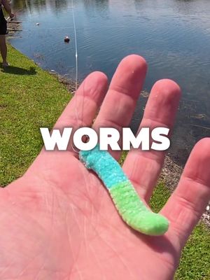 Catching PEACOCK BASS on GUMMY WORMS⁉️ • • #fyp #fishtok #florida #peacockbass #viral 