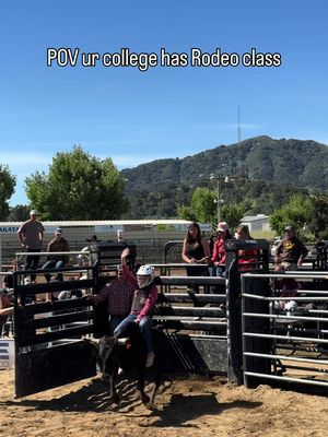 taking a little vacation this weekend visiting my buddy Jack at Cal Poly and he brought me to his rodeo 101 class 😂🐂 #calpoly #rodeo #stagecoach #college 