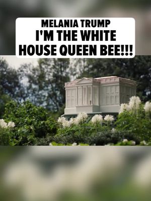 🐝🍯 Melania Trump is running a honeypot operation out of the White House ... as in, she's adding a couple new bee colonies to bump up honey production. 🎥: X/firstladyoffice