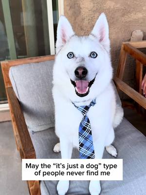 #CapCut my boys are my sons, 🥹 we don’t deserve dogs- love them so much ❤️ #dogmomsoftiktok ##dogmomaf #dogmomsbelike 