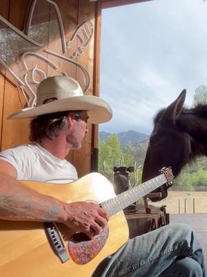 Sunday from the Cantina. “Blue Skies” with a little help from Honey. Song out now. Album out May 15.