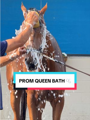Queen status always 👑 #KentuckyDerby #Queen #Prom #Bath #Tea 