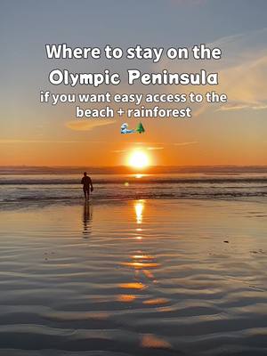 Right on the beach and less than an hour away from the Hoh Rainforest + Quinault Rainforest (which on the Olympic Peninsula is a short drive!)✨🌊🌲  #OlympicNationalPark #PNWonderland #HohRainforest #BeachVibes #KateOutdoors 