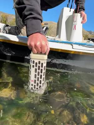 Waterproof means dunkproof #TurtleboxRanger #LiveFree #ListenLouder