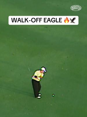 Doesn’t get any more clutch than a walk-off eagle. 🔥 Celebrating the TOUR returning to Doral for the first time in 10 years with Craig Parry’s perfect 6-iron from 176 yards to win the 2004 Ford Championship. #PGATOUR #highlight #sports #walkoff #golftiktok 