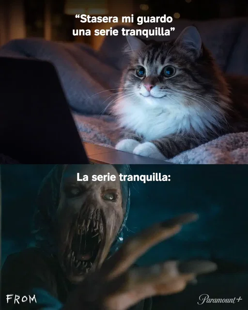 Guardare FROM sotto le coperte = our love language 😇 FROM è disponibile su Paramount+ #FROM #FROMLaSerie #FROMville