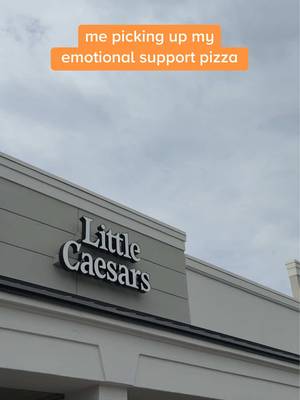 help me emotional support pizza.
