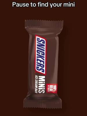 It’s a great day to have a SNICKERS Ice Cream Mini.