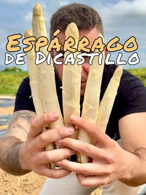 🏡ESPÁRRAGO🏡 “de Dicastillo” Cuando hablamos de huerta nadie puede negar que el producto de Navarra es de primera. Por eso estáis todos invitados a Dicastillo (Navarra) el día 3 de Mayo por la mañana, con puestos artesanos, degustación de espárragos y sobre todo un ambiente precioso. Nos vemos! . . #navarra #tierra #esparrago #Receta #dicastillo 