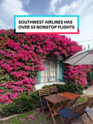 Did you know @Southwest Airlines has over 55 nonstop flights out of Austin, Texas?! ✈️  link in bio to check fares – which destination are you going to??  #SouthwestAUS #SouthwestPartner #austintravel 