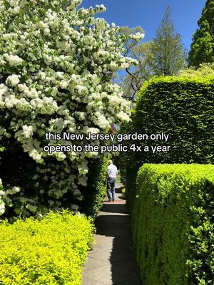 MUST-VISIT NJ GARDEN 🌸🌳  Hidden in Nutley is a private oasis open to the public only four times a year (the next one is June 6th). The Mountsier/Hardie Garden truly feels like stepping into a world-class botanical garden with layers of trees, shrubs, plants, and even a tea room.  We’ve got everything you need to know ahead of visiting at TheMontclairGirl.com.  #montclairgirl #newjersey #montclair #nutleynj #nutley 
