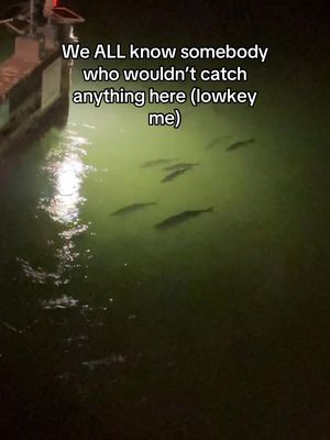 I hate tarpon • • #fyp #viral #trending #tarpon #florida 