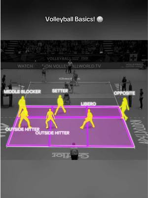 Volleyball for Beginners ☝️🏐 #volleyballworld #volleyball #positions #libero #setter 