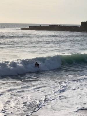flow state: achieved ✅ 🏄‍♂️: @lucasfinkrj  #redbull #givesyouwiiings #energydrink #skimboard #watersports