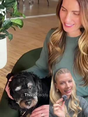 Everything changes with a healthy gut. And that sure was the case for Teddy! Better immunity, energy, digestion and cognition. GoodGut is everyday gut health built into your dog's food, eliminating the need to reactively manage symptoms or stack multiple products. Why you'll love it: 💚 A foundational, everyday kibble with a complete system of prebiotics, probiotics, and postbiotics so gut health is built into the food, eliminating the need to reactively manage symptoms or stack multiple products. 💚 Powered by a proprietary 10-strain probiotic system, including Canine Culture™ developed with @lifewaykefir, delivered at 2B CFU per Ib to support a healthy gut microbiome, better nutrient absorption, improved stool quality, and more consistent daily wellness. 💚 Formulated by our in-house veterinary nutritionist, who hand-selected each ingredient for a clear, functional role. Ingredients like psyllium seed husk, green-lipped mussels, and salmon oil are included at efficacious levels to support a healthy gut and digestion for lifelong health. 💚 Made with high-quality, ethically sourced proteins like grass-fed beef, humanely raised chicken, and wild-caught salmon, plus freeze-dried raw pieces, delivering exceptional palatability and the highly digestible protein dogs need to thrive. #GoodGut #GutCheck