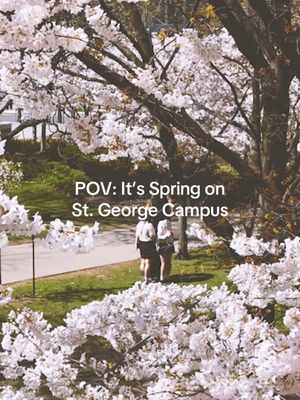Goodbye winter blues, hello blossom views! 🌸 #uoft 