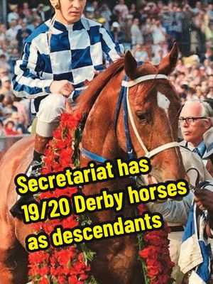 19 of the 20 horses in this year’s Kentucky Derby are all related to Secretariat 🤯 #secretariat #racehorses #kentuckyderby #horseracing 