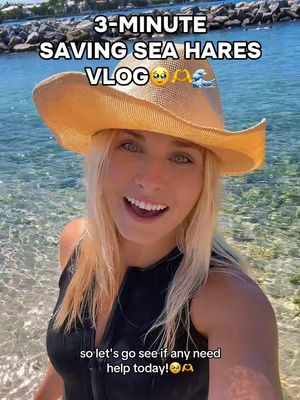 Wait til the end to see one swimming! 😱 They are SO mesmerizing! Come back to see the dive vlog here!🤿🌊 #wildliferescue #ocean #paddleboard #diving #marinelife 