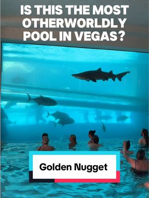 Not your average swim situation. 🐠☀️ 📍@Golden Nugget Las Vegas  #VegasPools #VegasAttractions
