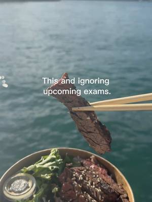 exam stress vs Michigan Lake + Bowls of Rice therapy! #BowlsOfRice #SeeYourProtein #Chicago #DFW #FortWorth 