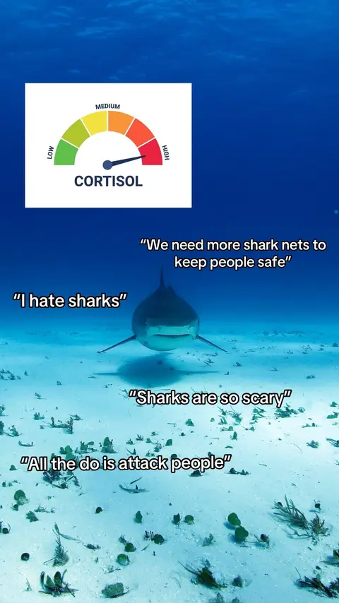 Brutal. - #sharks #ocean #wildlife #lowcortisol #StressRelief 