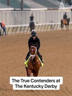 These are the only horses for real at the Kentucky Derby. 🏇 #kentuckyderby #betting #horses #horseracing