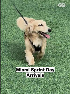 Arrivals from Sprint and Qualifying Saturday at the Miami Grand Prix #f1 #formula1 #miamigp 