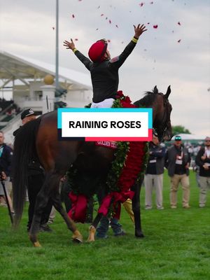 Roses look good on you, Golden Tempo 🌹 #KentuckyDerby #Roses #Winning #Moments 