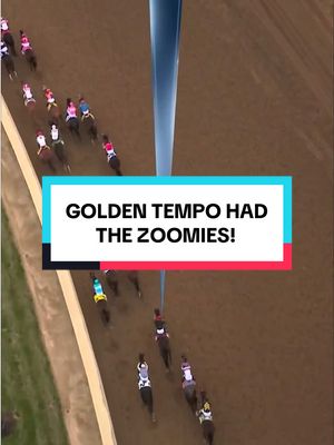 Golden Tempo definitely had the zoomies 🙂‍↕️ #KentuckyDerby #DerbyWinner #Emotional #Winner #Zoomies 