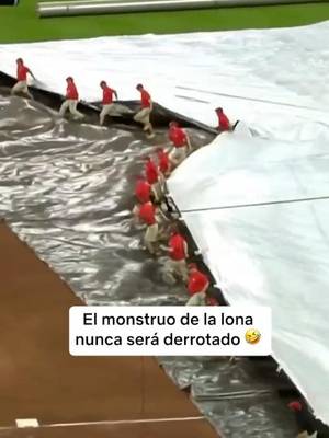Mi gato o perro cada vez que voy a tender la cama. 😭🐶😹🤭 #MLB #Humor #NetflixDeportes