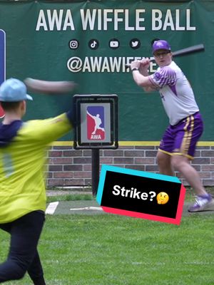 Do you Agree with the Batter?🤔 #dingersornothing #wiffleball #baseball #foryou 