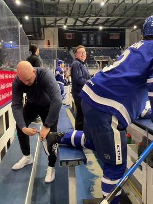 This does not hurt the horse dw 😌 #Marlies #AHL #toronto #Hockey 