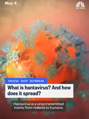 Three passengers have died amid suspected hantavirus infections on a cruise ship. What is hantavirus and how does it spread?