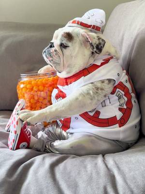 BB-8 all the cheese puffs 🤔 #starwars #starwarsday #maythe4thbewithyou #foryoupage 