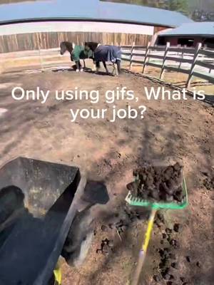 Do your worst 😂 #fyp #bluecollar #viral #funny