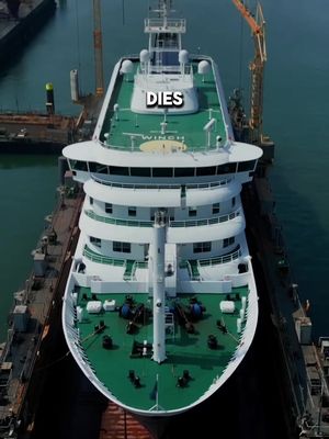 Multiple deaths. Confirmed hantavirus case. And still no clear answers. 🤯 My thoughts and prayers go out to everyone on board. 🙏  #cruiseship #cruising #hantavirus #mvhondius #fyp 