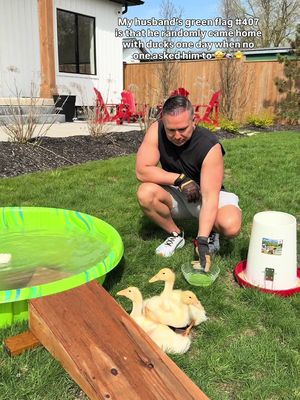 The same dude who cut the walls open to rescue the cat 🤲🏻 #greenflag #ducks #ducksoftiktok #husbandsoftiktok 