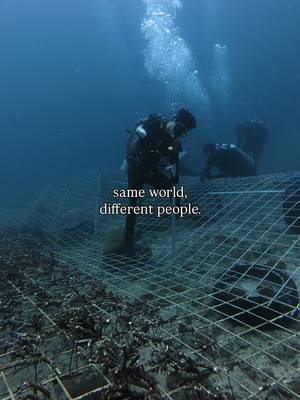 We are living in the Hunger Games.   Time to wake up people before it's too late. For more ocean conservation and environmental awareness, don't forget to follow - @oceanwithadam
