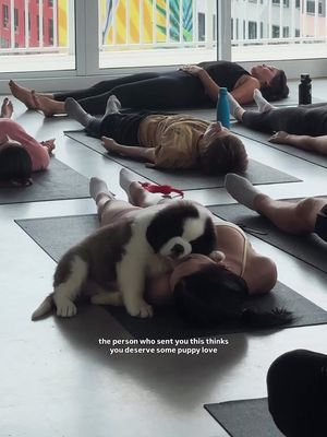 Going through it lately? Nothing some puppy love can’t fix 🤍